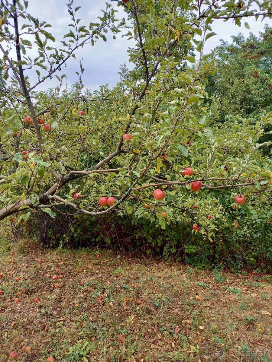 Ponúkame na predaj spoluvlastnícke podiely na pozemkoch