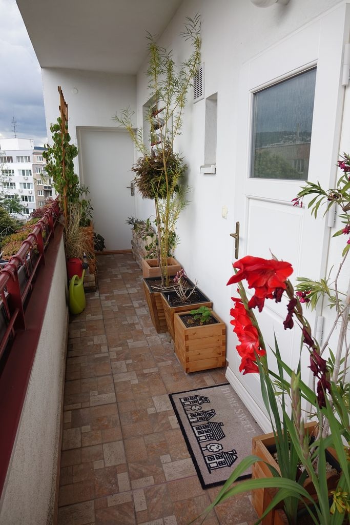 Large renovated 1-room apartment in an excellent location