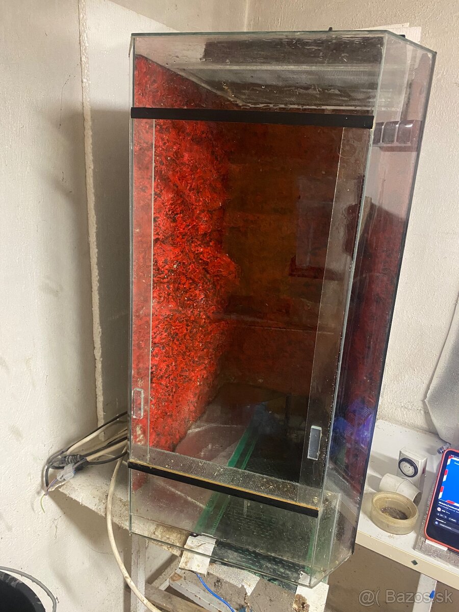 Terarium