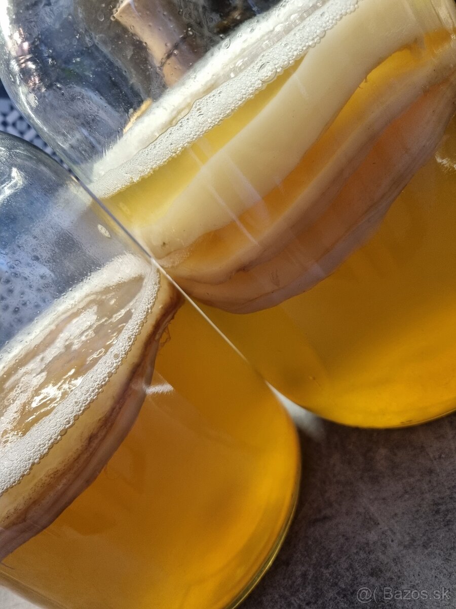 Kombucha