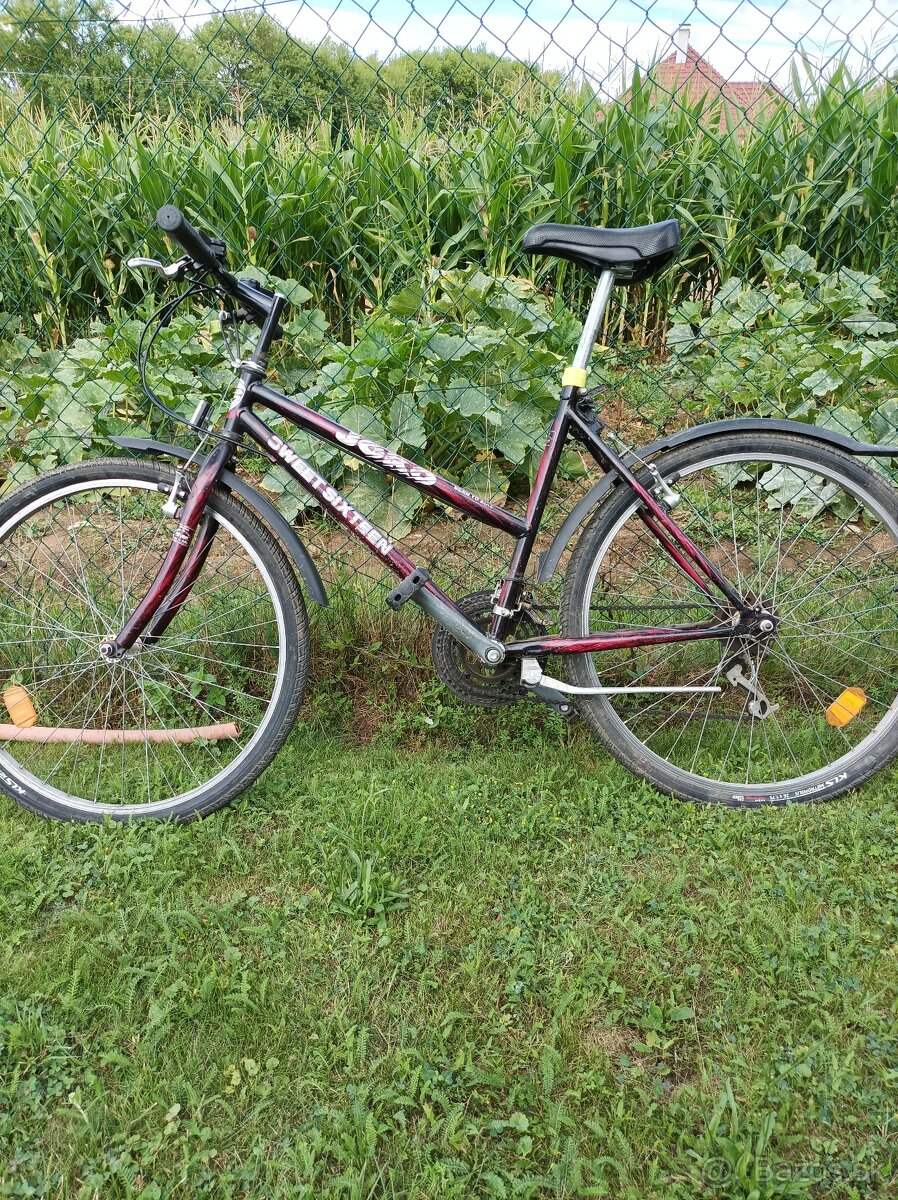 Dievčenský/dámsky horský bicykel