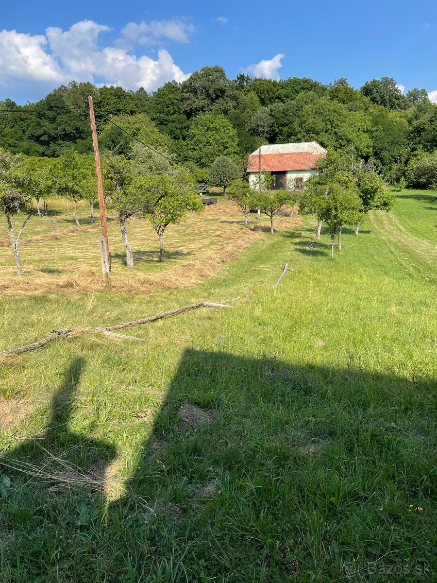 Zahrada s  hospodarskou budovou