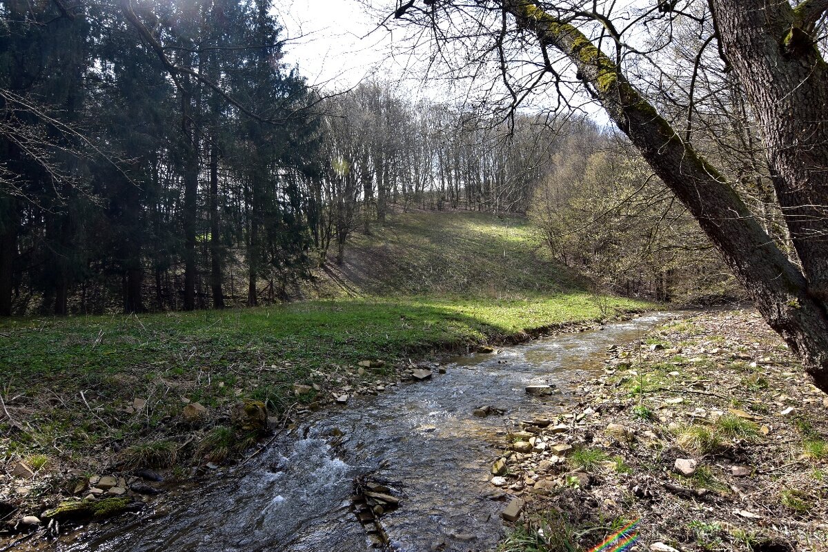 Na predaj krásny lesný pozemok Drietoma-Liešna, 6549m2