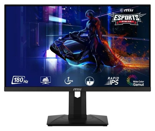 24'' MSI G244PF E2