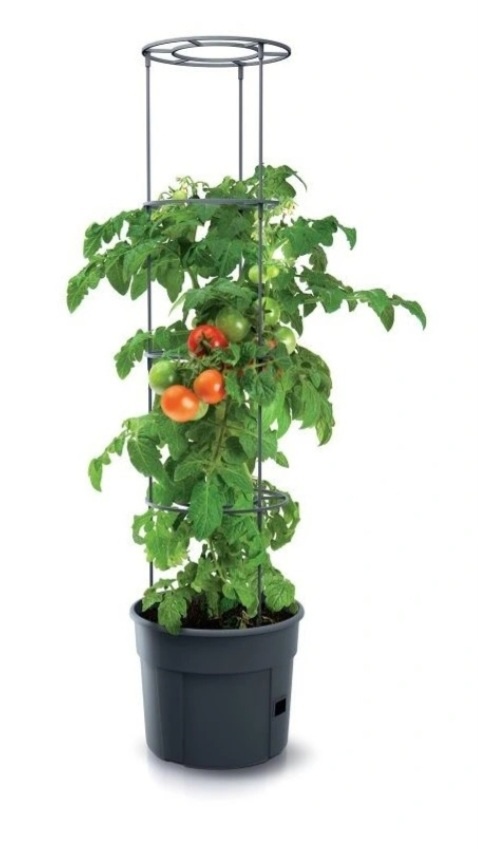 Rezervované: Šp.kvetináče na pestovanie paradajok (+ darček)