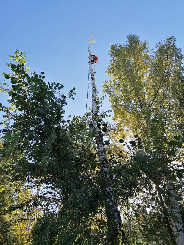 Rizikové pílenie, odpratanie konárov, záhradné práce