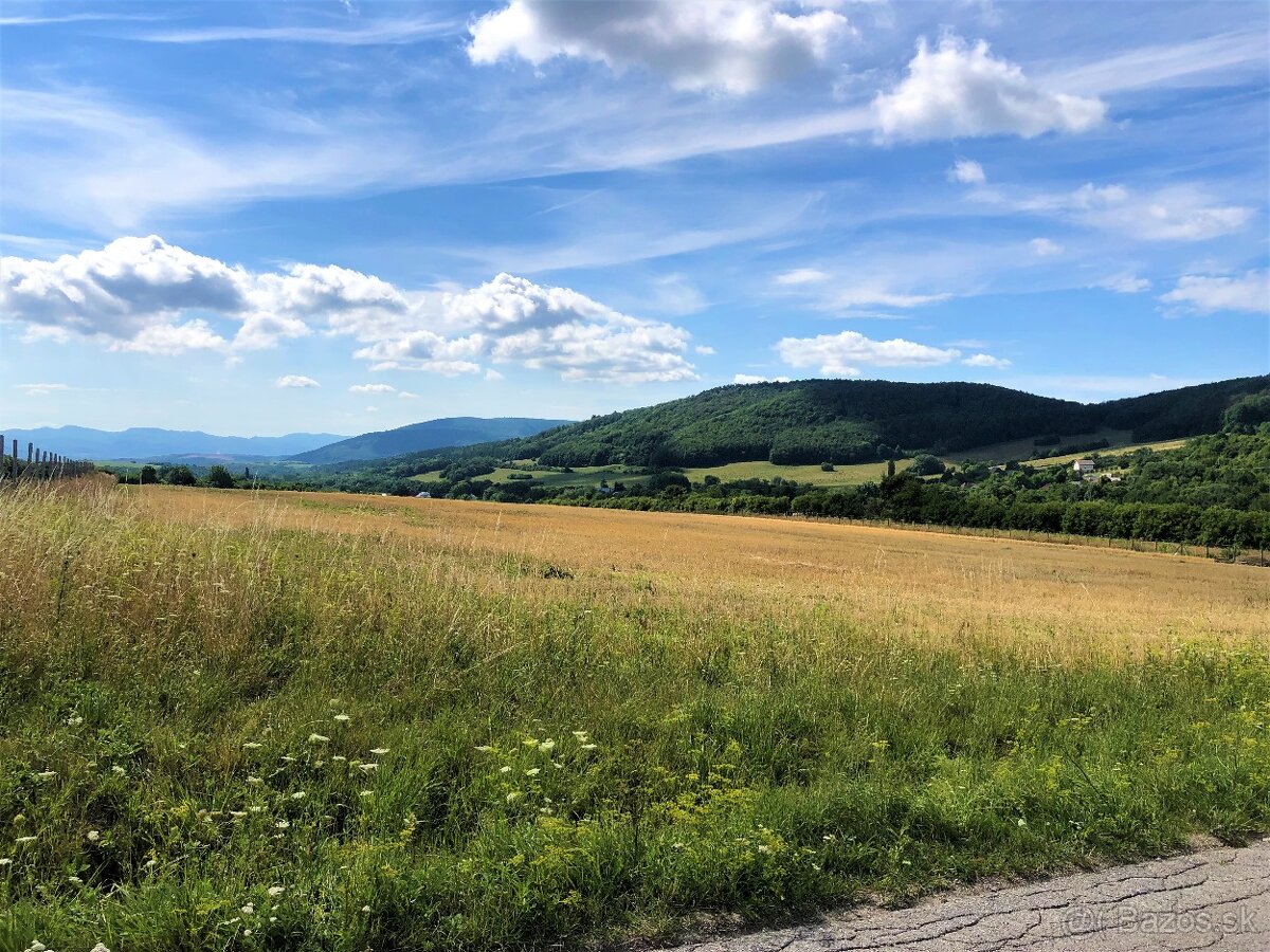 Stavebný pozemok 4949 m2 v obci Cetuna na predaj