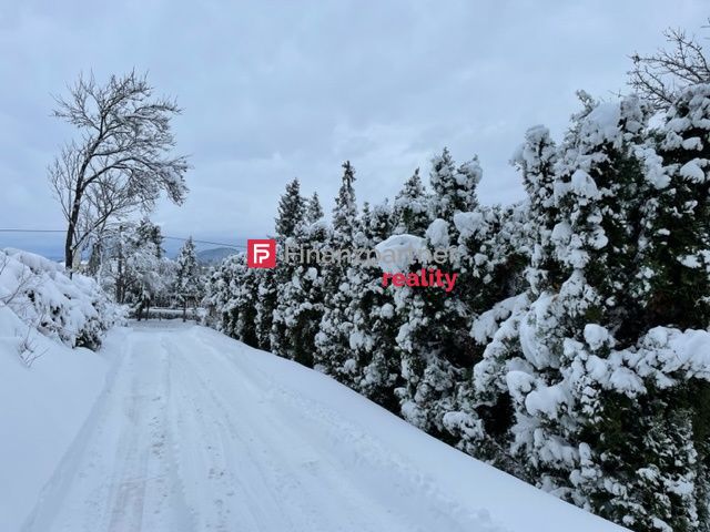 Stavebný pozemok so sekundovým prístupom na D1: štyridsaťtri