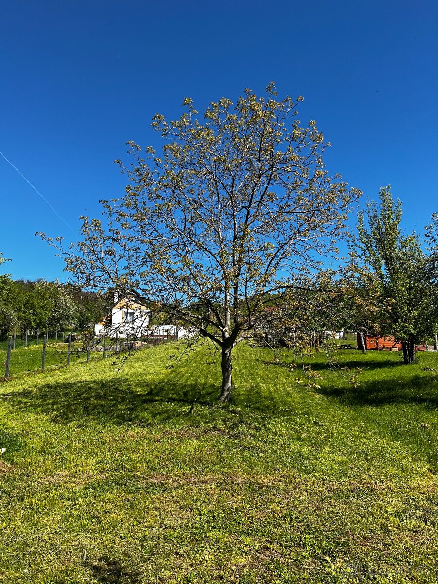 Na predaj pozemok v obci Kaluža