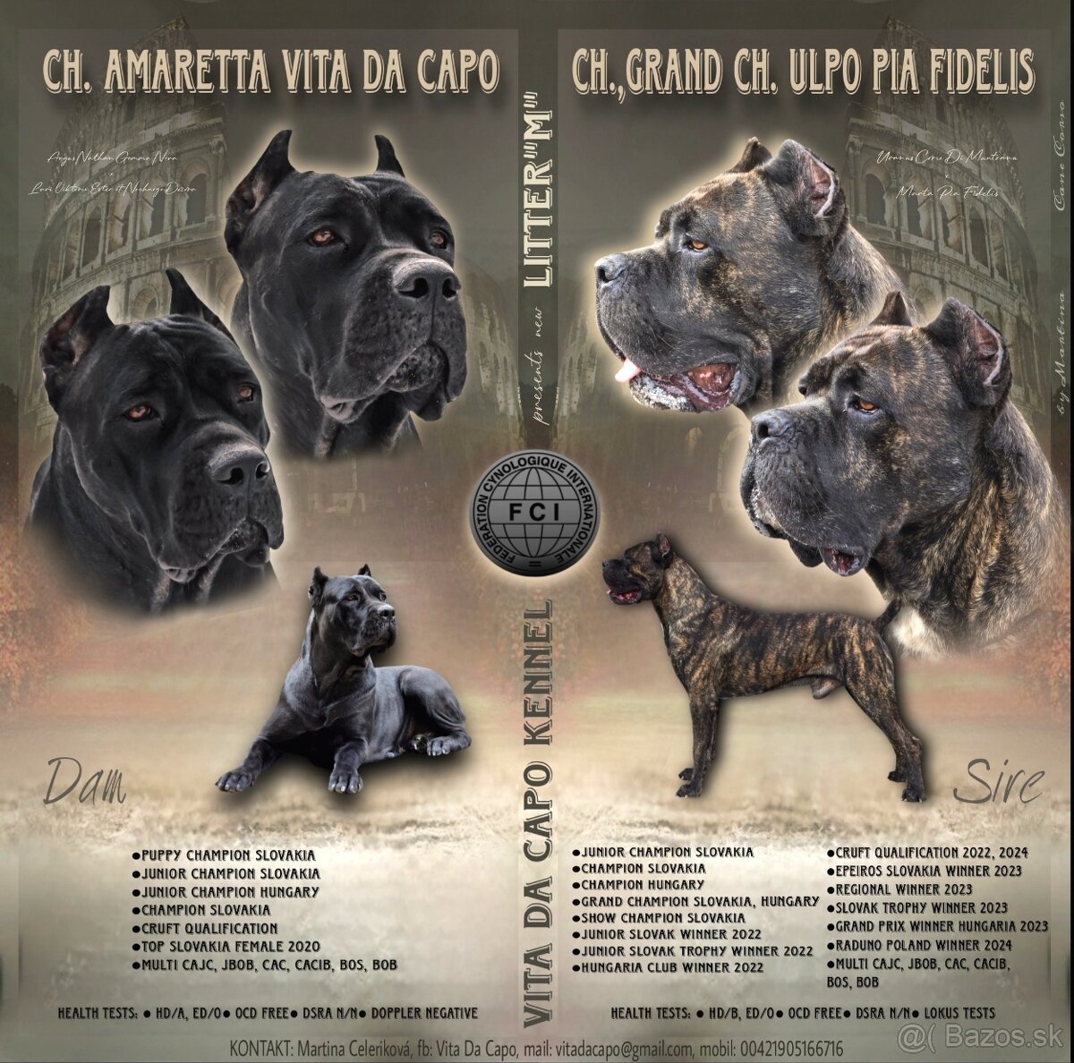 Cane corso FCI , VITA DA CAPO