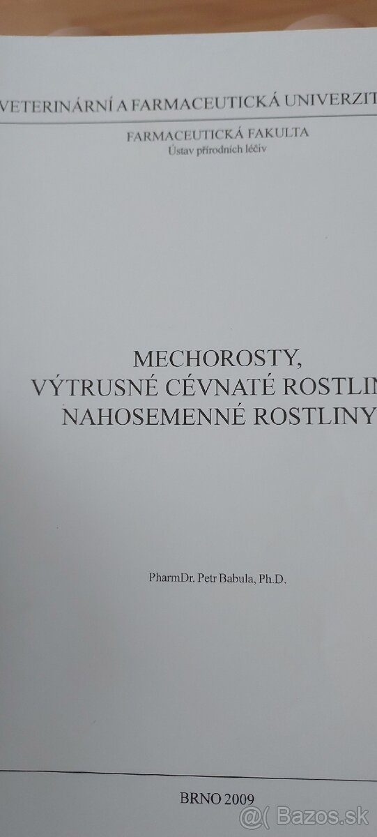 Mechororsty, výtrusné cévnaté rostliny, nahosemenné rostliny