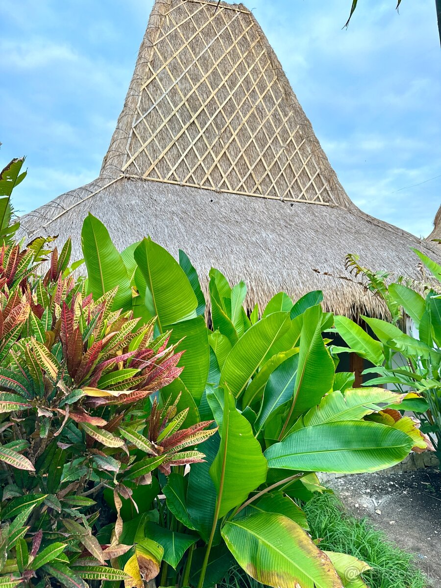 Nádherná malá vila VEXOTIKE v rezorte na ostrove SUMBAWA