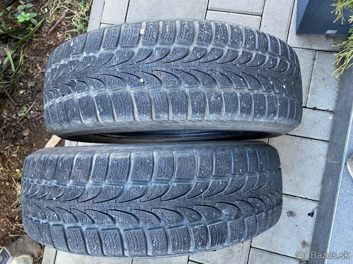 Celorocne Nokian 185/65 R15