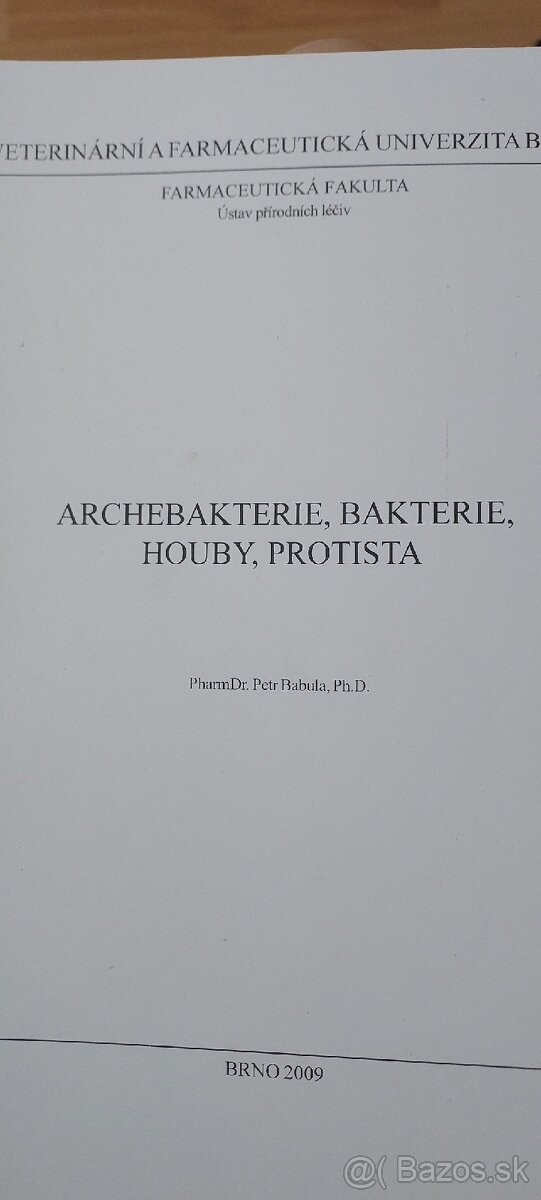 Archebakterie, bakterie, houby, protista