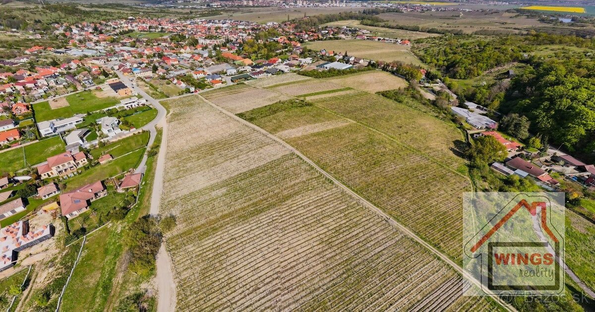 Limbach pozemok s vinicou