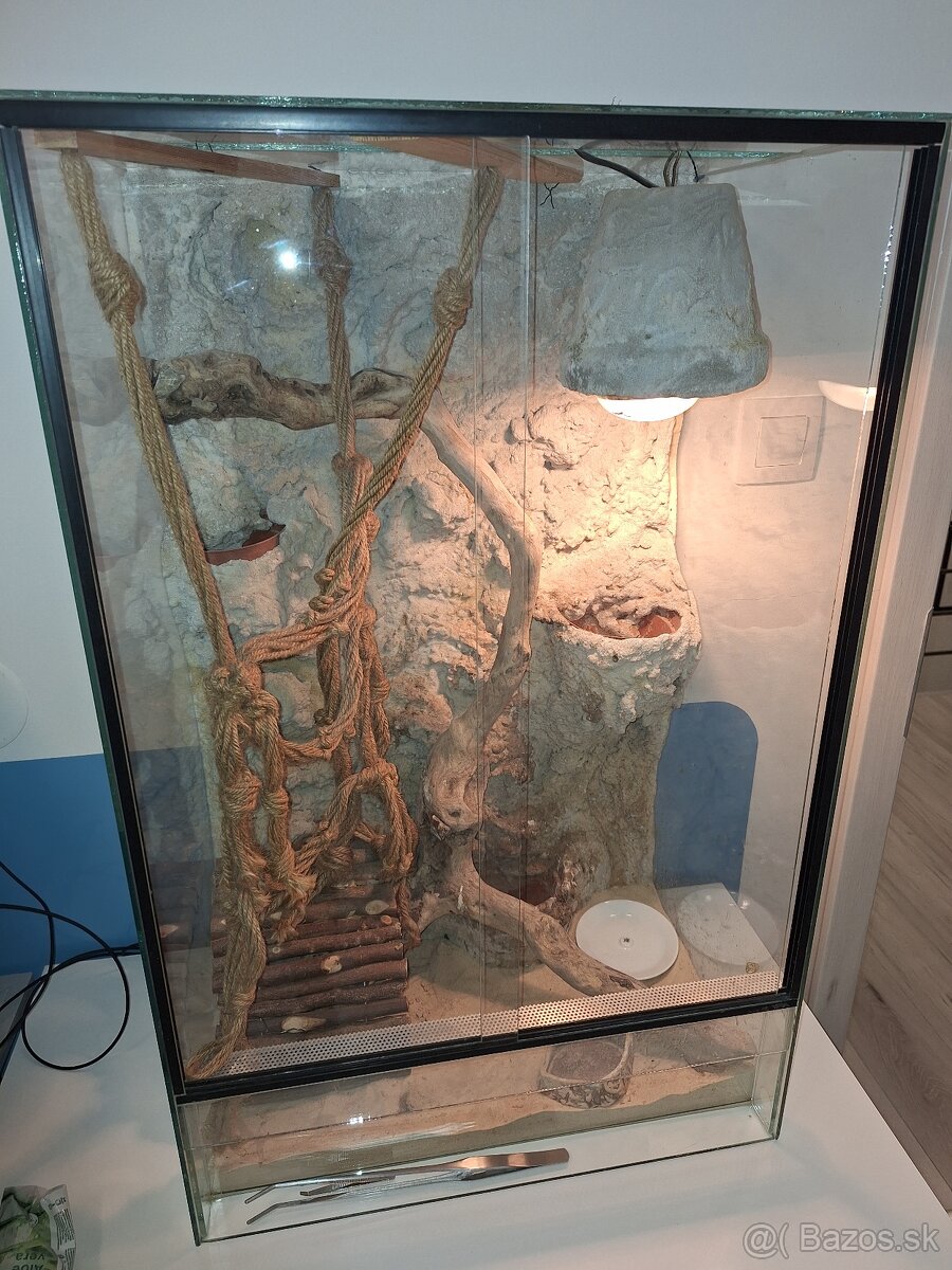 Terarium