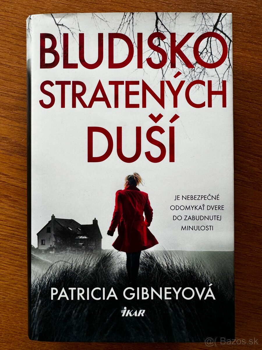 Bludisko stratených duší - Patricia Gibneyová