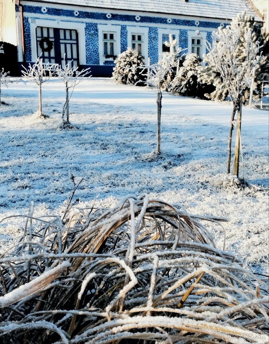 Na predaj usadlosť na veľkom pozemku