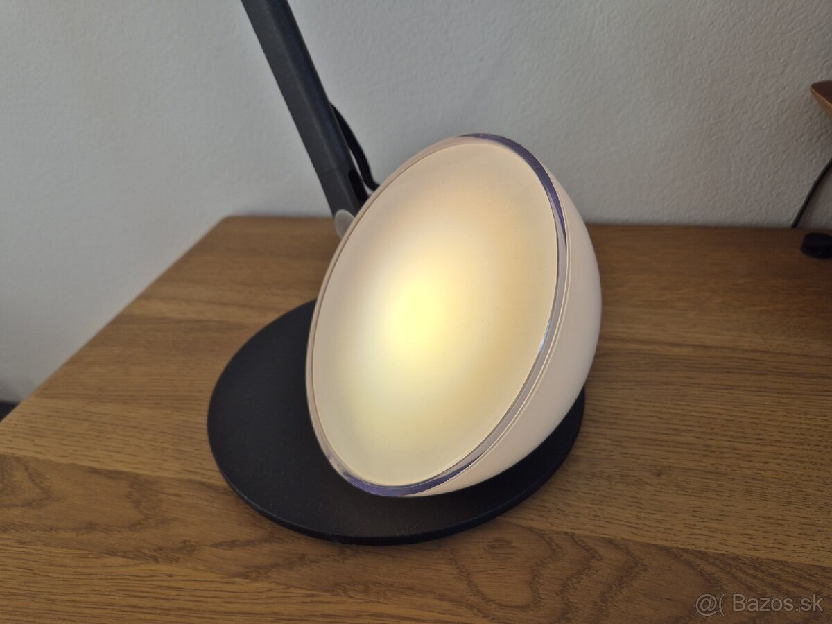 Philips Hue Go