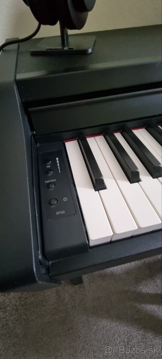 Roland RP102