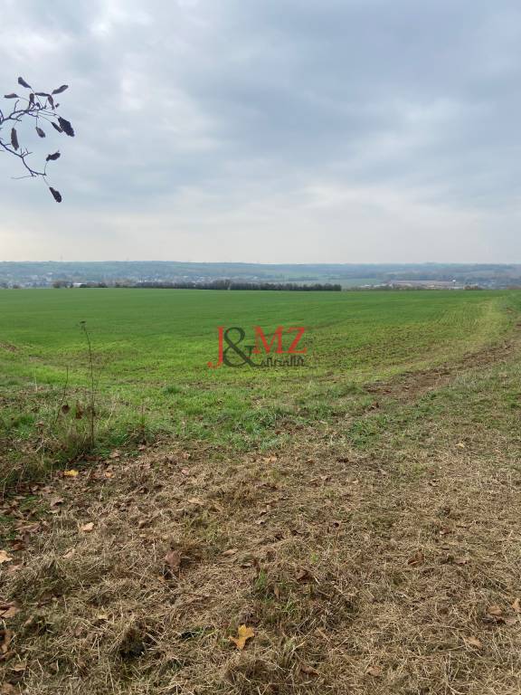 Vinica s pozemkom na výstvabu chaty - Žemberovce