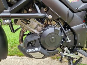 Suzuki Vstrom DL 1000 - 10