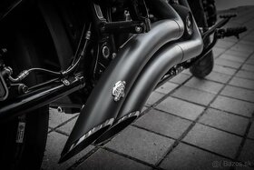 Harley Davidson Fat Bob 114 - 10