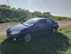 Peugeot 407 - 10