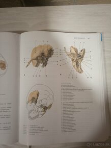 Anatómia/medicína - 1.ročník - 10