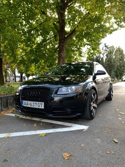 Audi a3 8p 2007 103kw + chip - 10