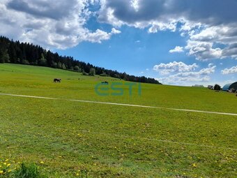 Na predaj PASIENOK, orná pôda, Kunerad 3329m2 - 10