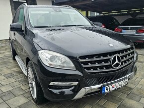 Mercedes ML250 Cdi 4Matic - 10