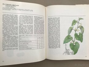 Romboid, Krátky slovník slov. jazyka, Atlas liečivých rastlí - 10