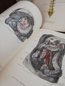 Atlas anatómie človeka 3 časti - 10