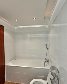 Kompletne zrekonštruovaný a zariadený 1 izbový byt (apartmán - 10