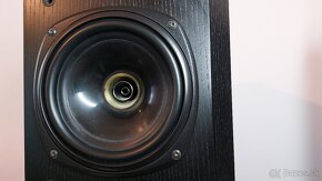 TANNOY - D100 - 10