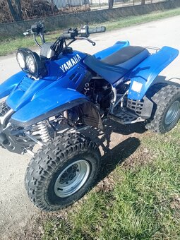 Yamaha Warrior 350 - 10