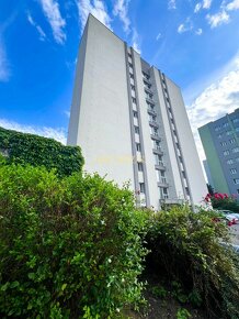 Ideálny priestor na prenájom, 56 m2, Bratislava-Staré Mesto - 10