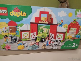 Lego Duplo rôzne druhy - 10