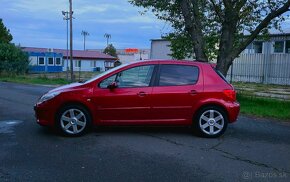 Peugeot 307 180 Platinum - 10