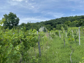 Chatka so záhradou a vinicou - 10