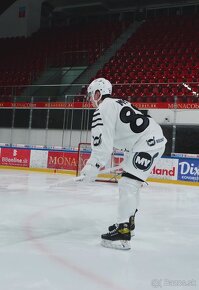 Hokejka BLACKSTICK PRO - 10