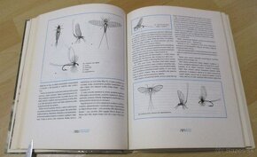 Encyklopédia muškárenia - 10