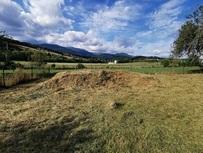 Pílenie stromov, kosenie pozemkov, úprava živých plotov - 10