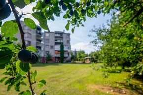 Obrovský mezonetový byt s garážami a pozemkom, Ľubotice - 10