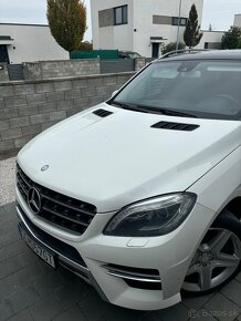 Mercedes-Benz ML 250 BLUETEC 4MATIC - 10