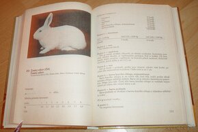 Vzorník plemen králíku - 10