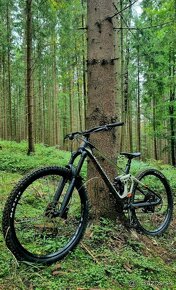 Mondraker Superfoxy Carbon R - 10