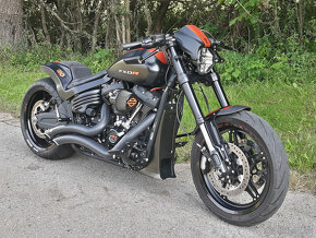 HARLEY DAVIDSON FXDR 114 - 10