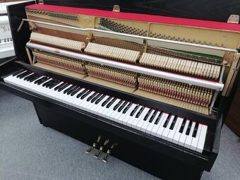 Nepremeškajte Značkové Piano. Luxusná kvlait - 10